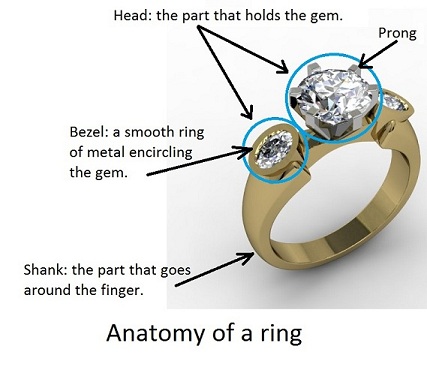 anatomy of ring